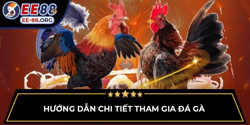 Hướng dẫn chi tiết tham gia đá gà