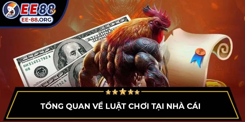 Tổng quan về luật chơi tại nhà cái 