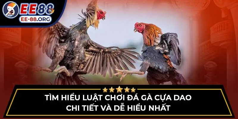 Tìm hiểu luật chơi đá gà cựa dao chi tiết và dễ hiểu nhất