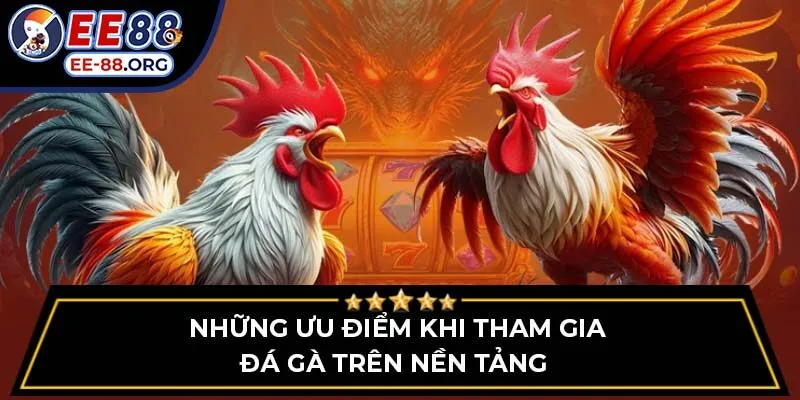 Những ưu điểm khi tham gia đá gà trên nền tảng 