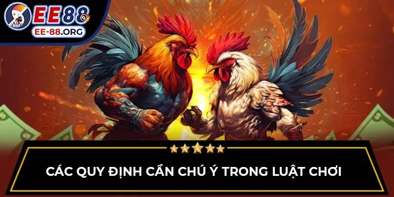 Các quy định cần chú ý trong luật chơi 