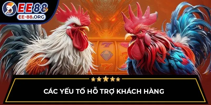 Các yếu tố hỗ trợ khách hàng 